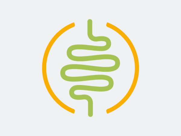 Grafische Darstellung Darm