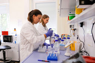 Zwei Mitarbeiterinnen bei der Arbeit im Labor Zwei Mitarbeiterinnen bei der Arbeit im Labor