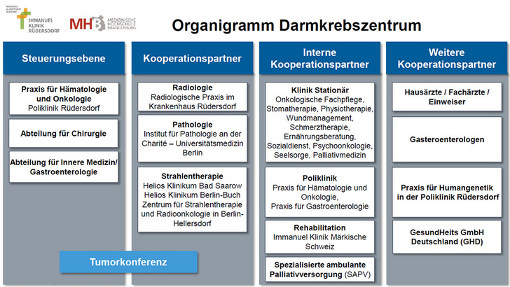 Schaubild Organigramm Darmkrebszentrum